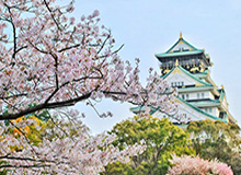 世界杯官方客户端下载-福克斯因脚踝伤势或缺席数月 年轻国王再遭打击